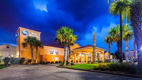 pet friendly hotels in lafayette la|marriott bonvoy lafayette la.